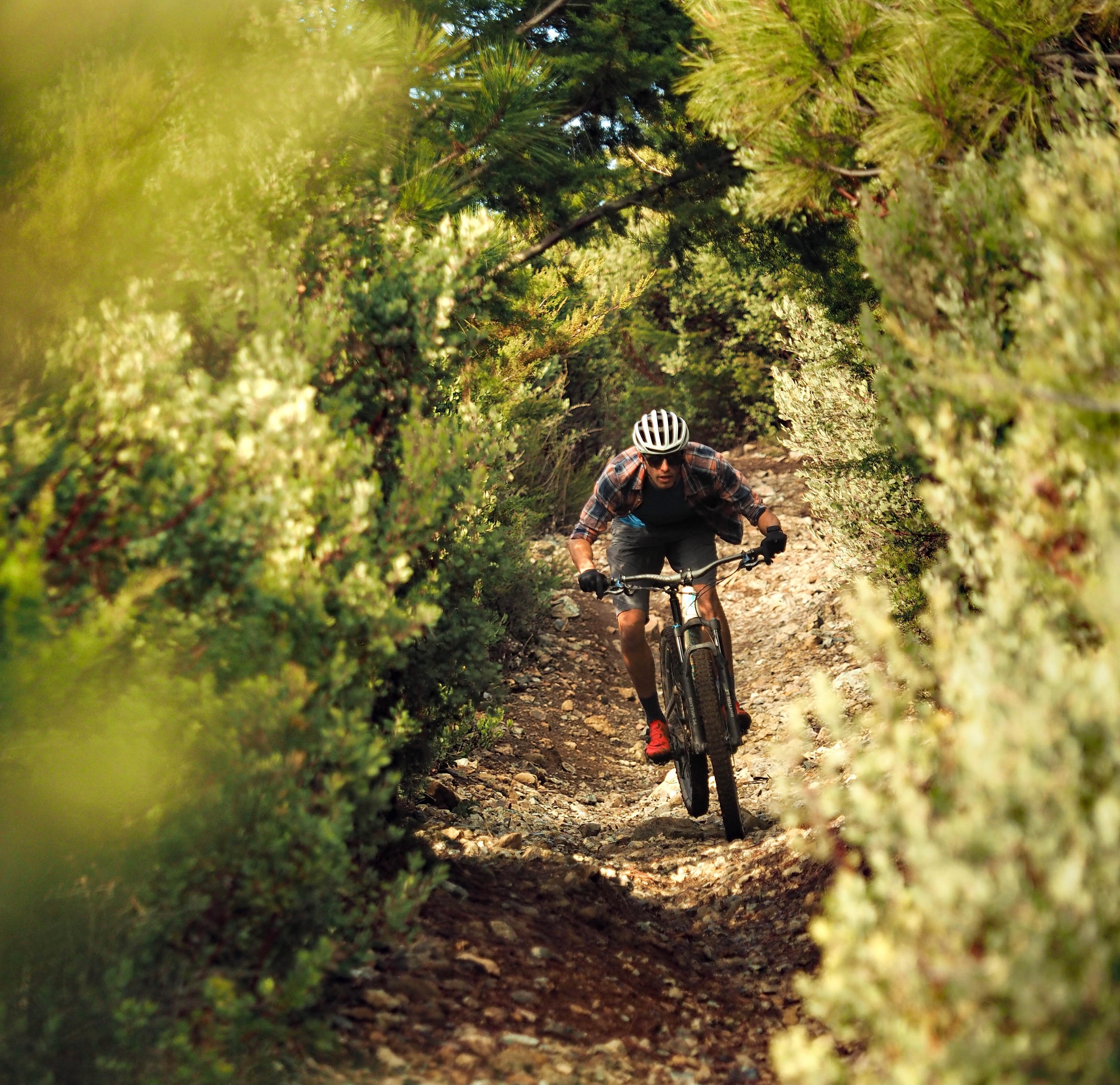 Central Coast Trails EP 2: Cuesta Ridge Loop